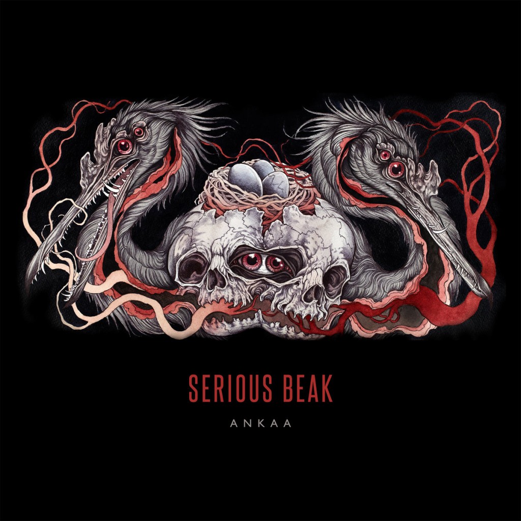 Serious Beak - Ankaa