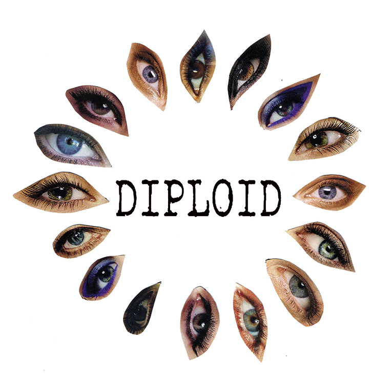 Diploid New Zealand and Australian east coast tour